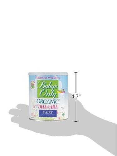 Baby's Only Organic Dairy with DHA & ARA Formula, 12.7 Ounce